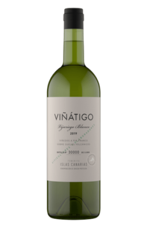 Viñátigo Vijariego Blanco