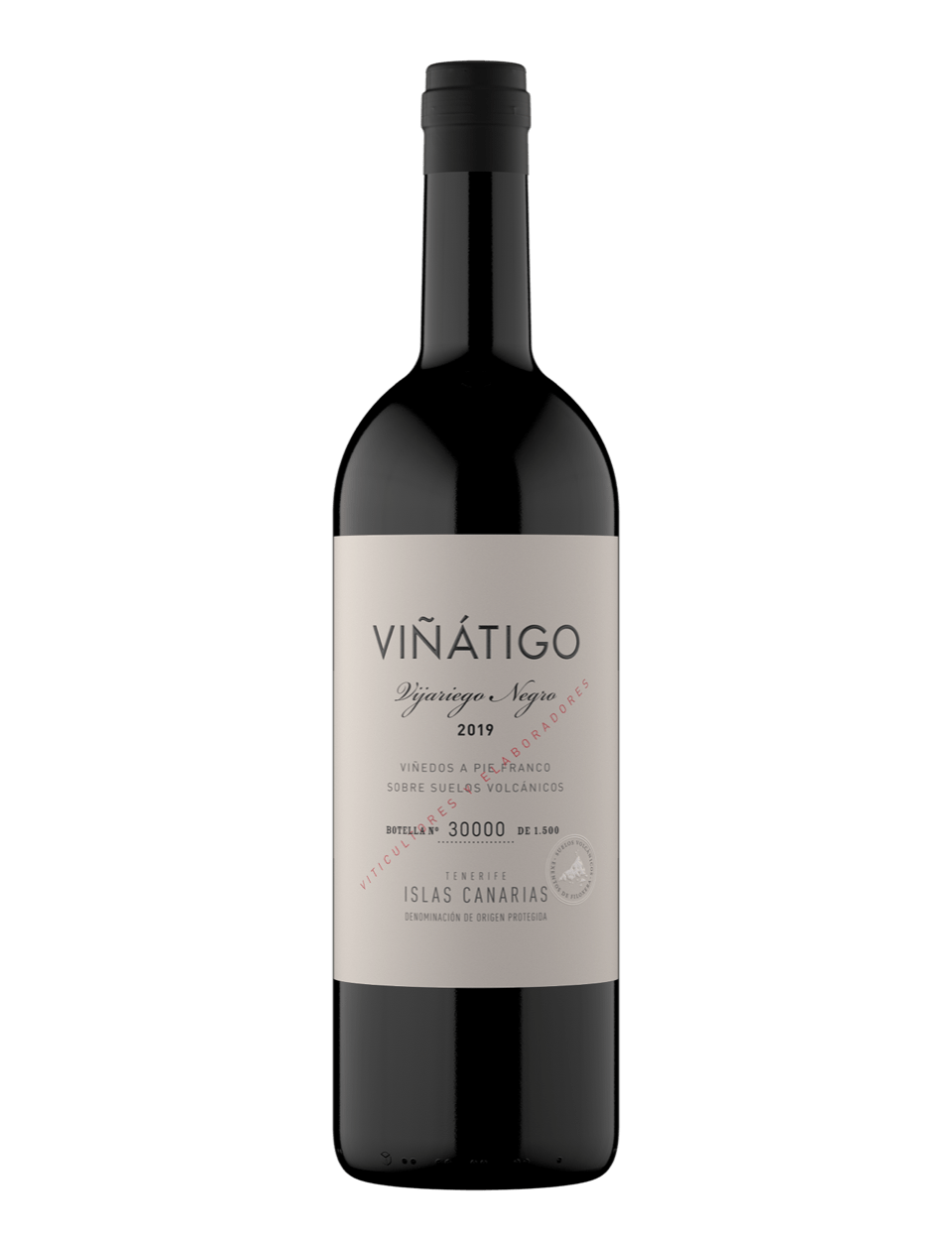 viñatigo Vijariego negro bodegabierta