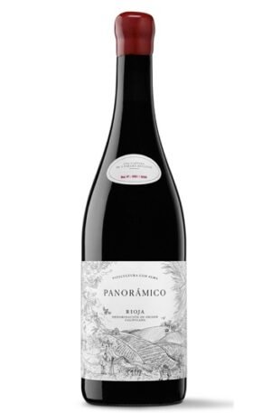 Panorámico tinto rioja vino