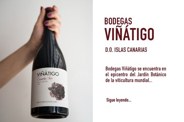 Viñátigo es una bodega de vinos de Tenerife