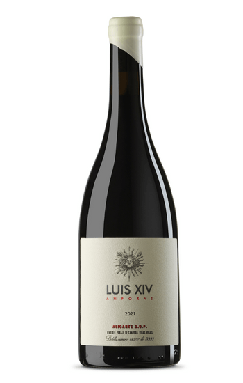 Luis XVI Ánfora