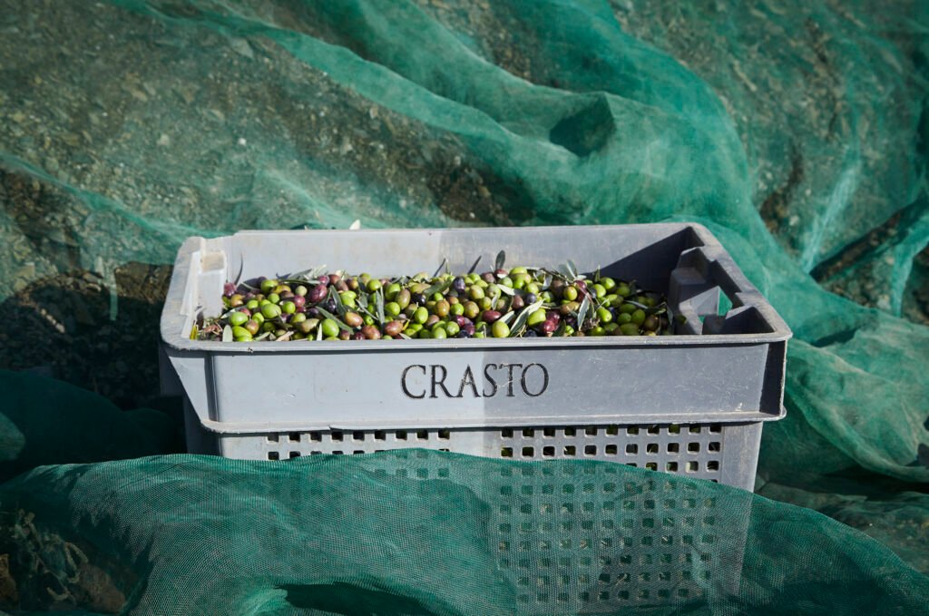 Quinta do Crasto