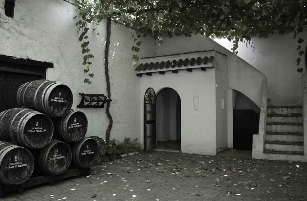 Bodega César Florido
